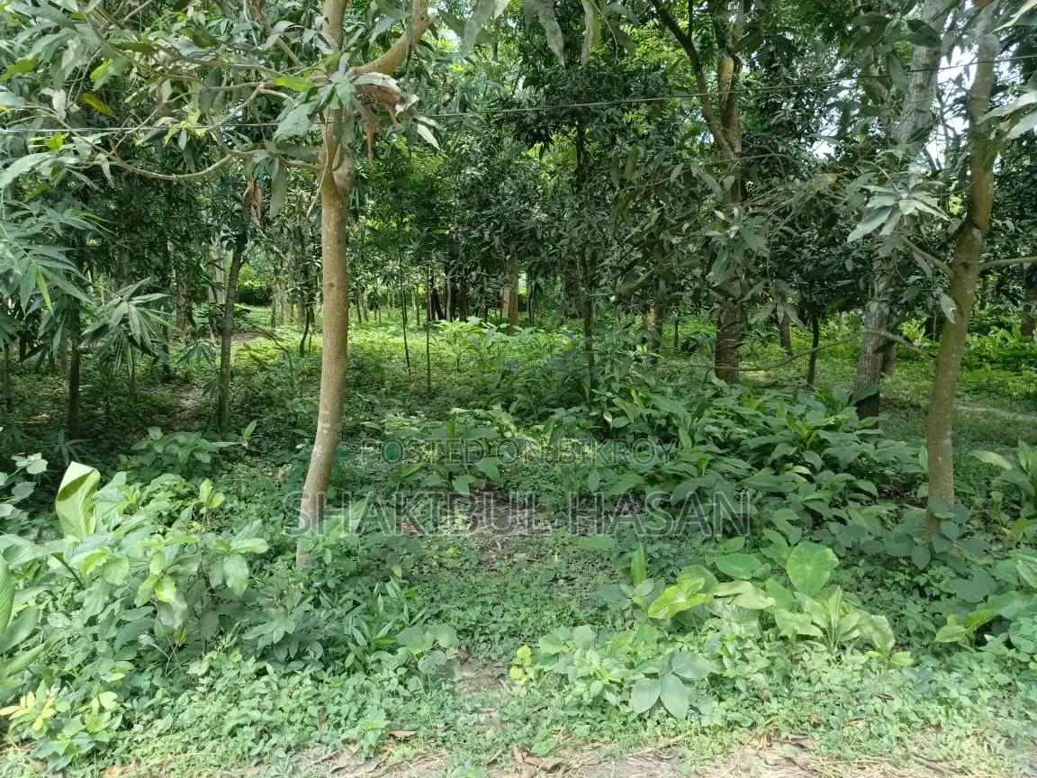 ৮ শতক জমি