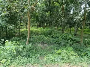 ৮ শতক জমি