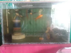 একুরিয়াম ও মাছ