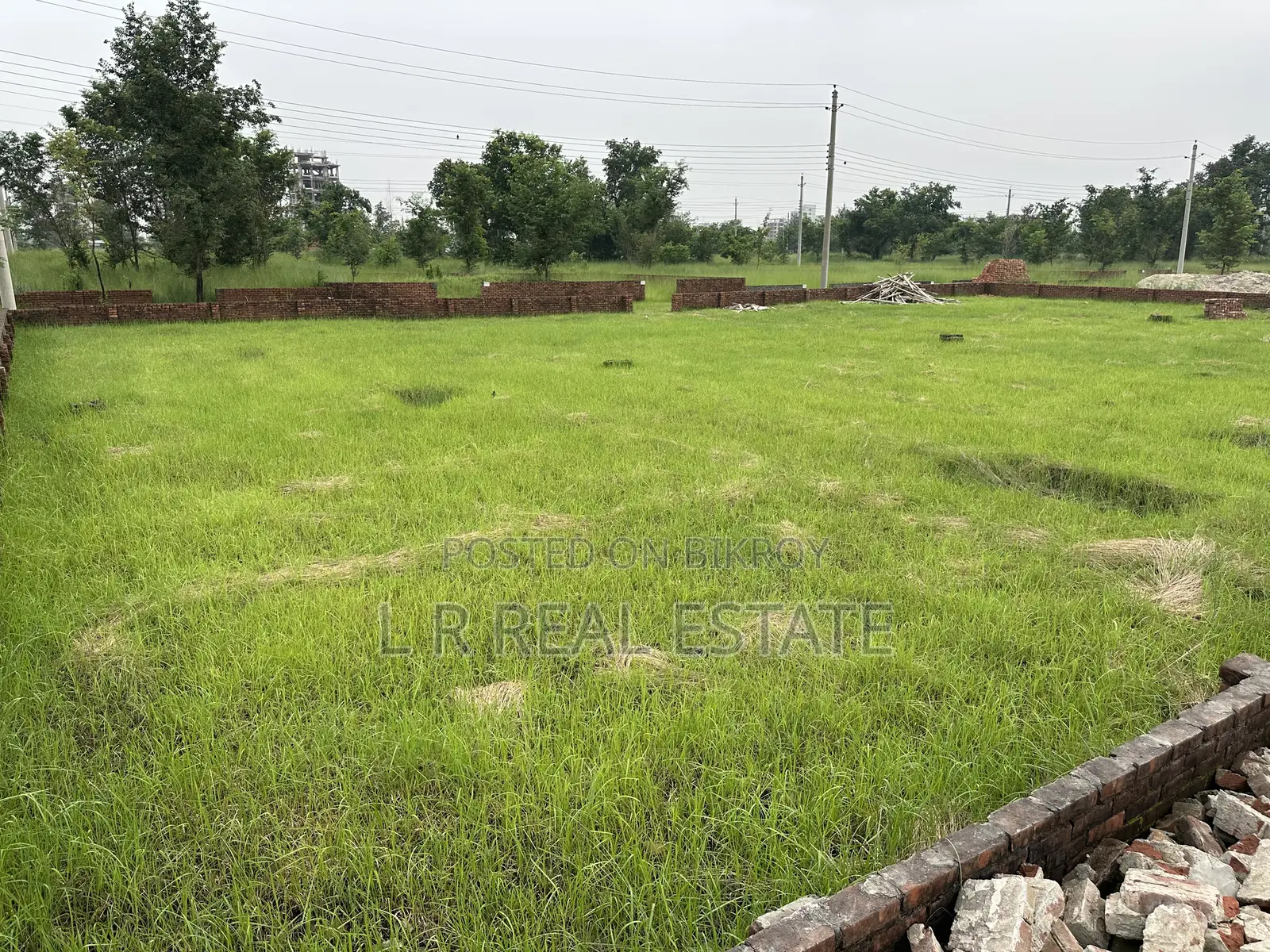 Block-M,(3x8)=24 Katha,South-Face, Near- 200'road,Bashundhara R/A