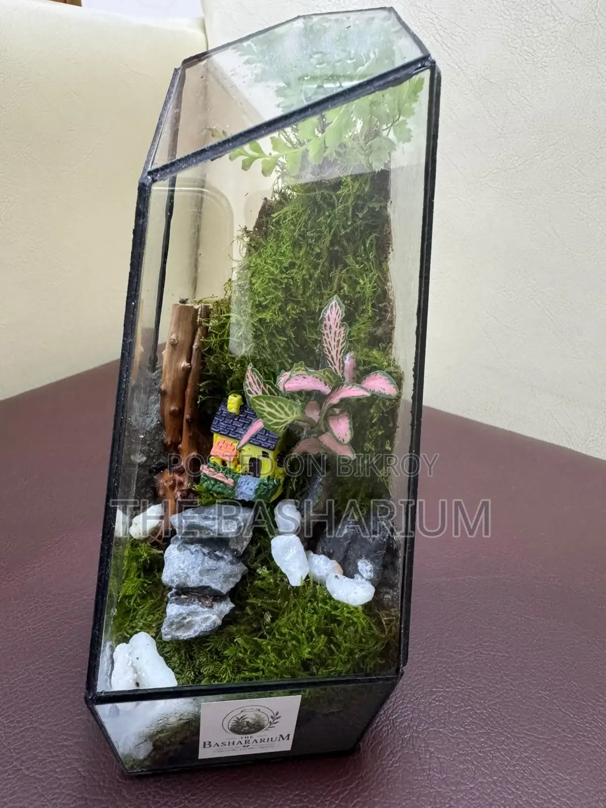 Terrarium Natural Prism Type