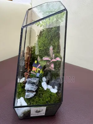 Terrarium Natural Prism Type