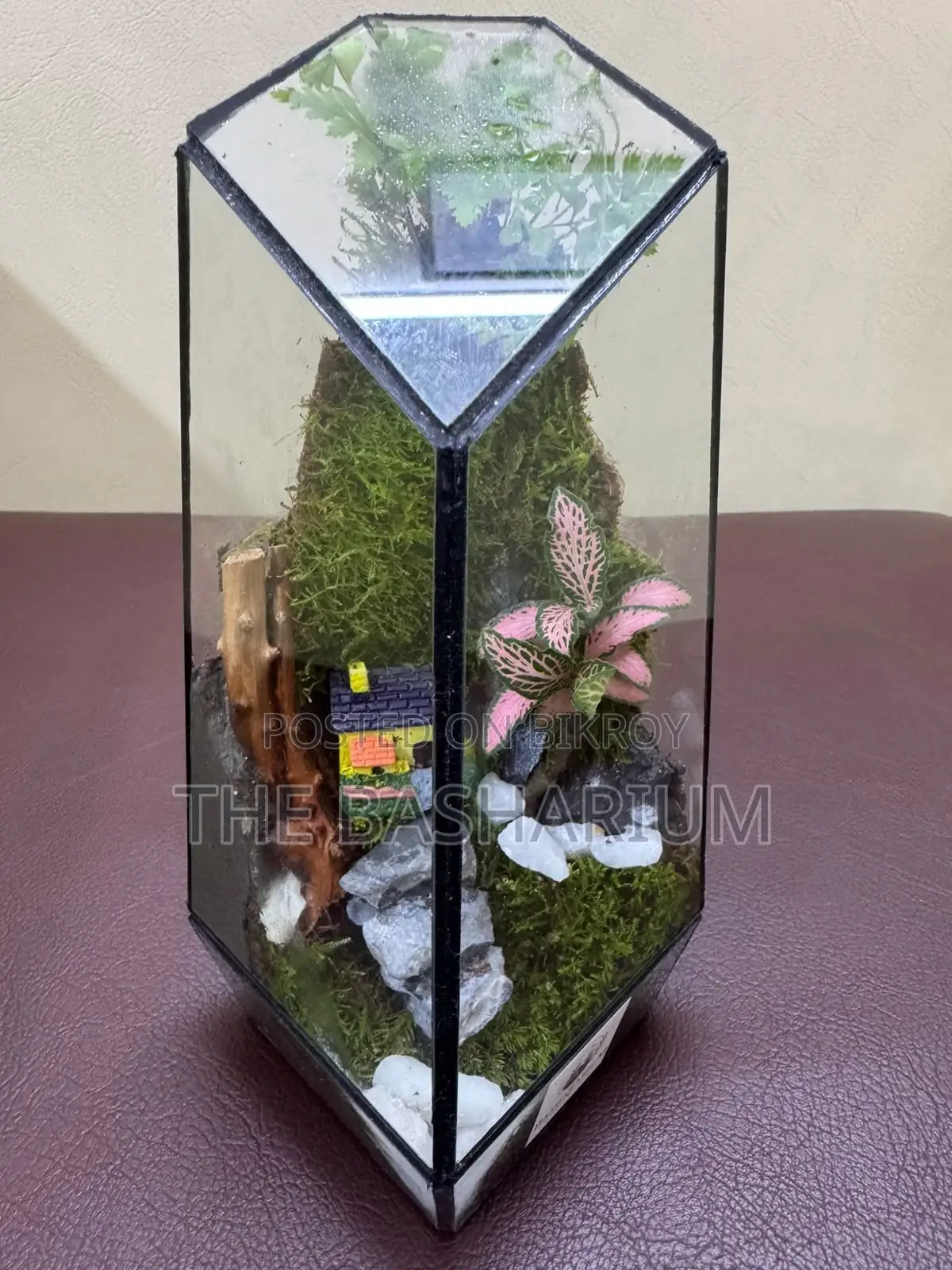 Terrarium Natural Prism Type