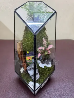 Terrarium Natural Prism Type