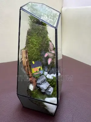 Terrarium Natural Prism Type