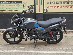 Hero Passion Pro 2025 Gray