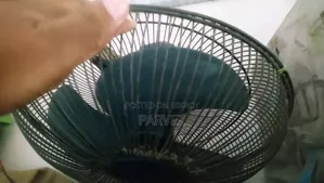 Fan, Table/Wall