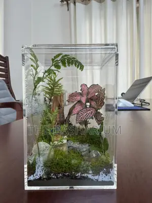 Terrarium Square Glass Box Type