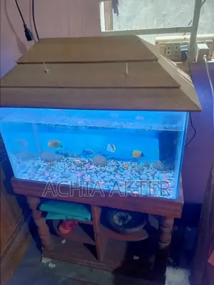 2 Feet Aquarium