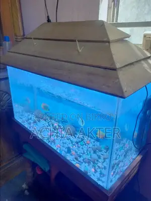 2 Feet Aquarium