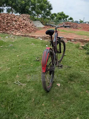 Venom Cycle