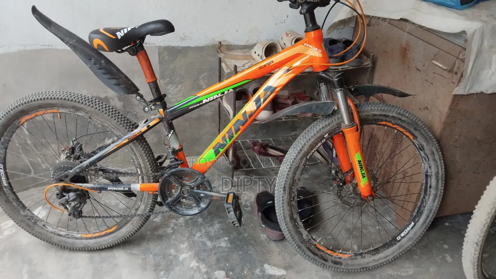 Ninja Cycle