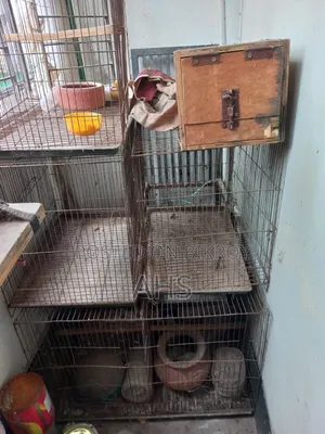 Bird Cage Price per unit