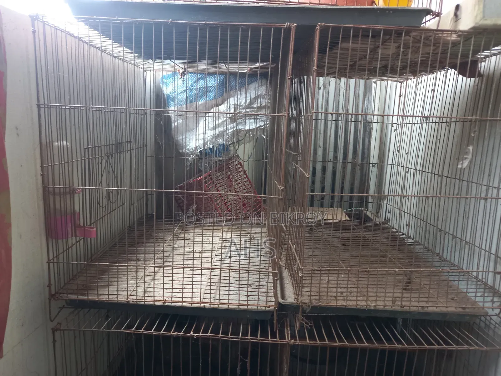 Bird Cage Price per unit