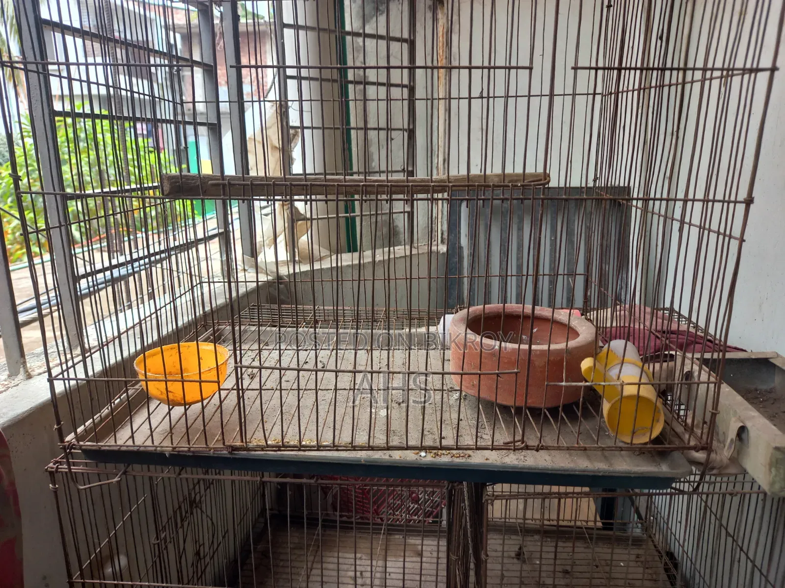 Bird Cage Price per unit