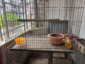 Bird Cage Price per unit