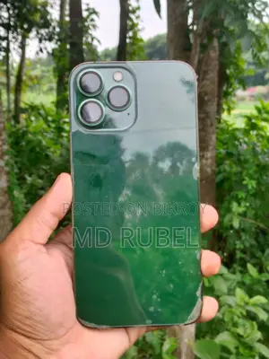 Apple iPhone 13 Pro Max 256 GB Green