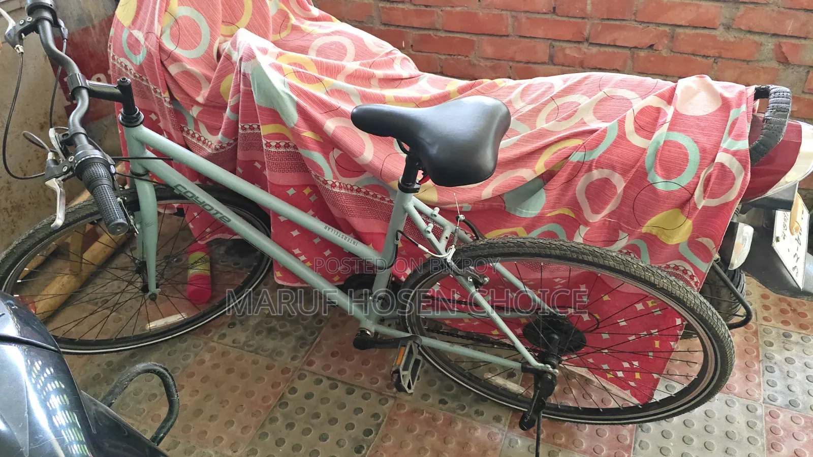 Cycle (New)