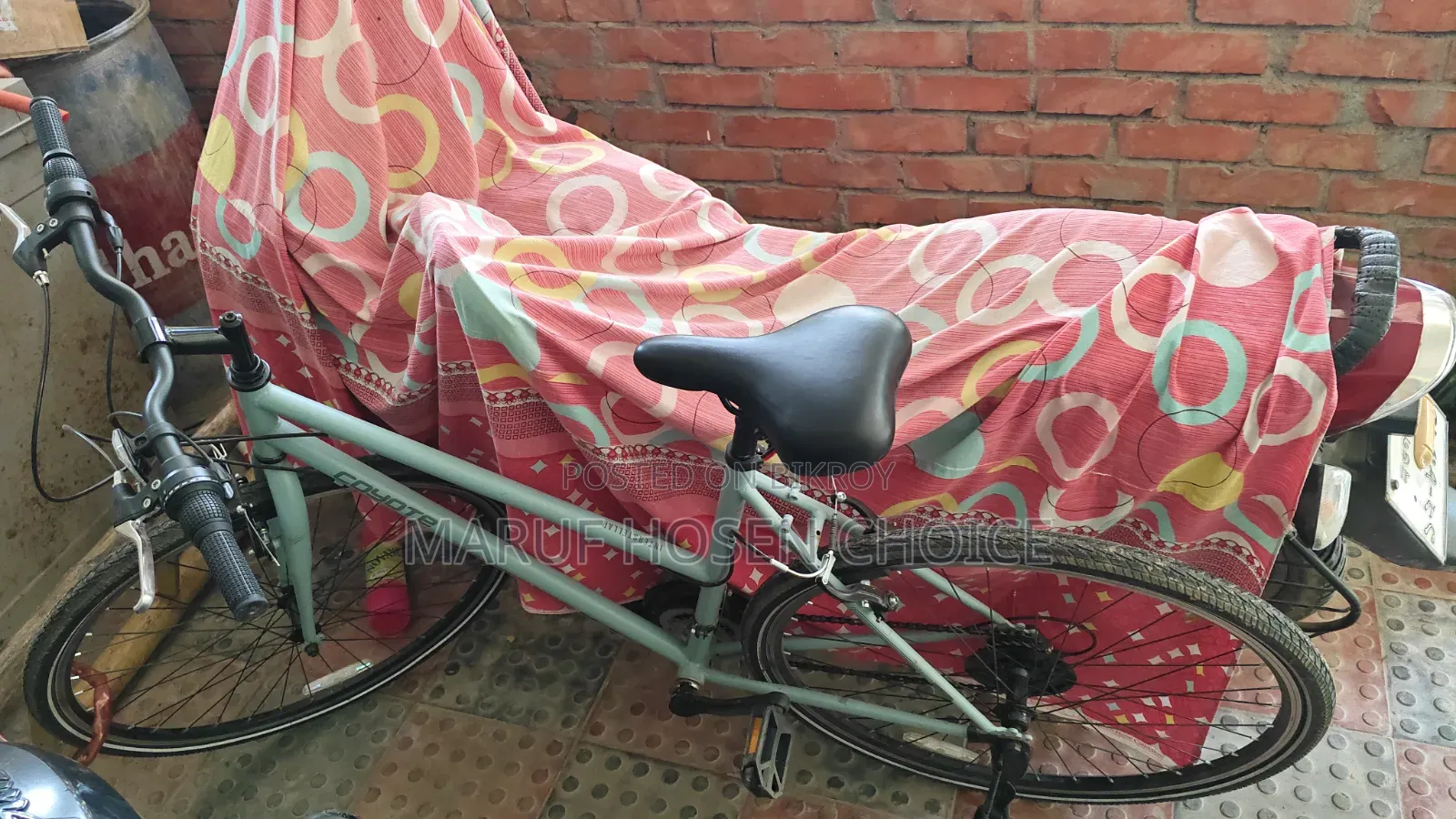 Cycle (New)