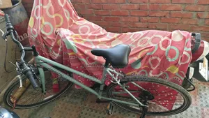 Cycle (New)