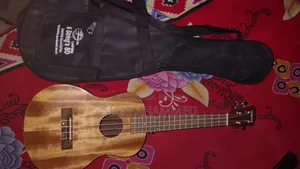 Ukulele 26"