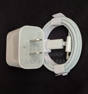 Apple iPhone Original Charger
