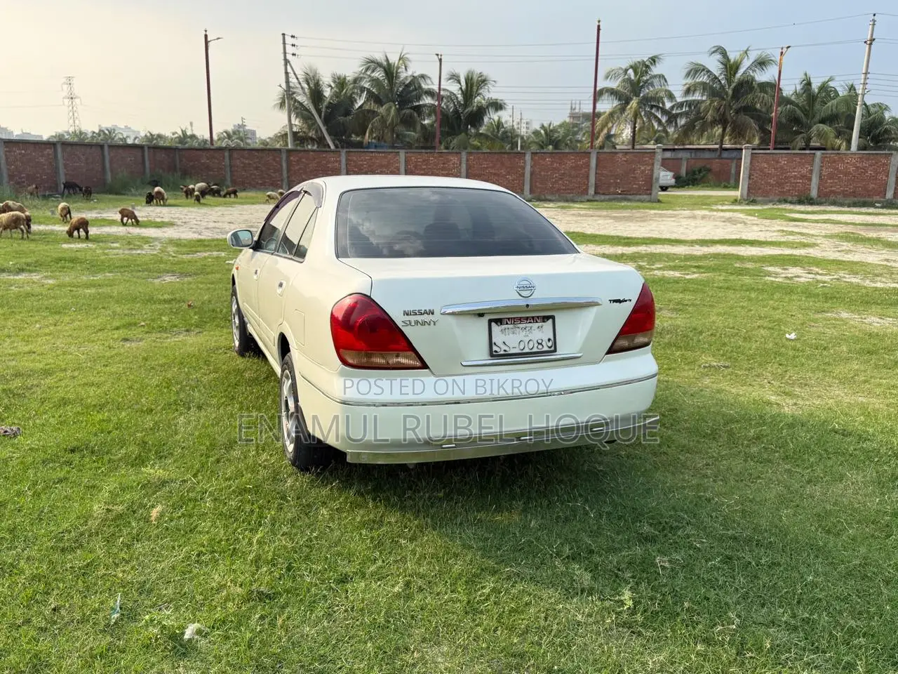 Nissan Sunny 2004 Pearl