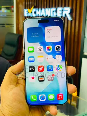 Apple iPhone 16 Pro Max 256 GB Gray