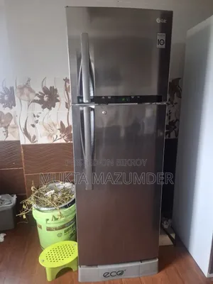 এলজি ফ্রিজ খুব বেশি পুরনো নয়