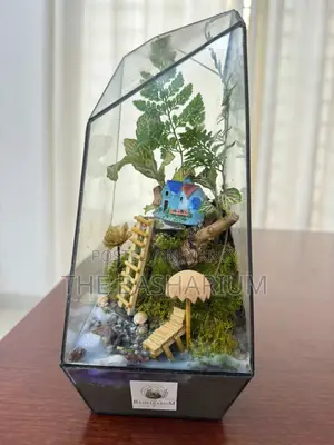 Terrarium - Prism Type Big Size