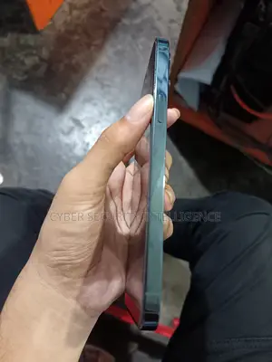New Apple iPhone 12 Pro Max 256 GB Blue