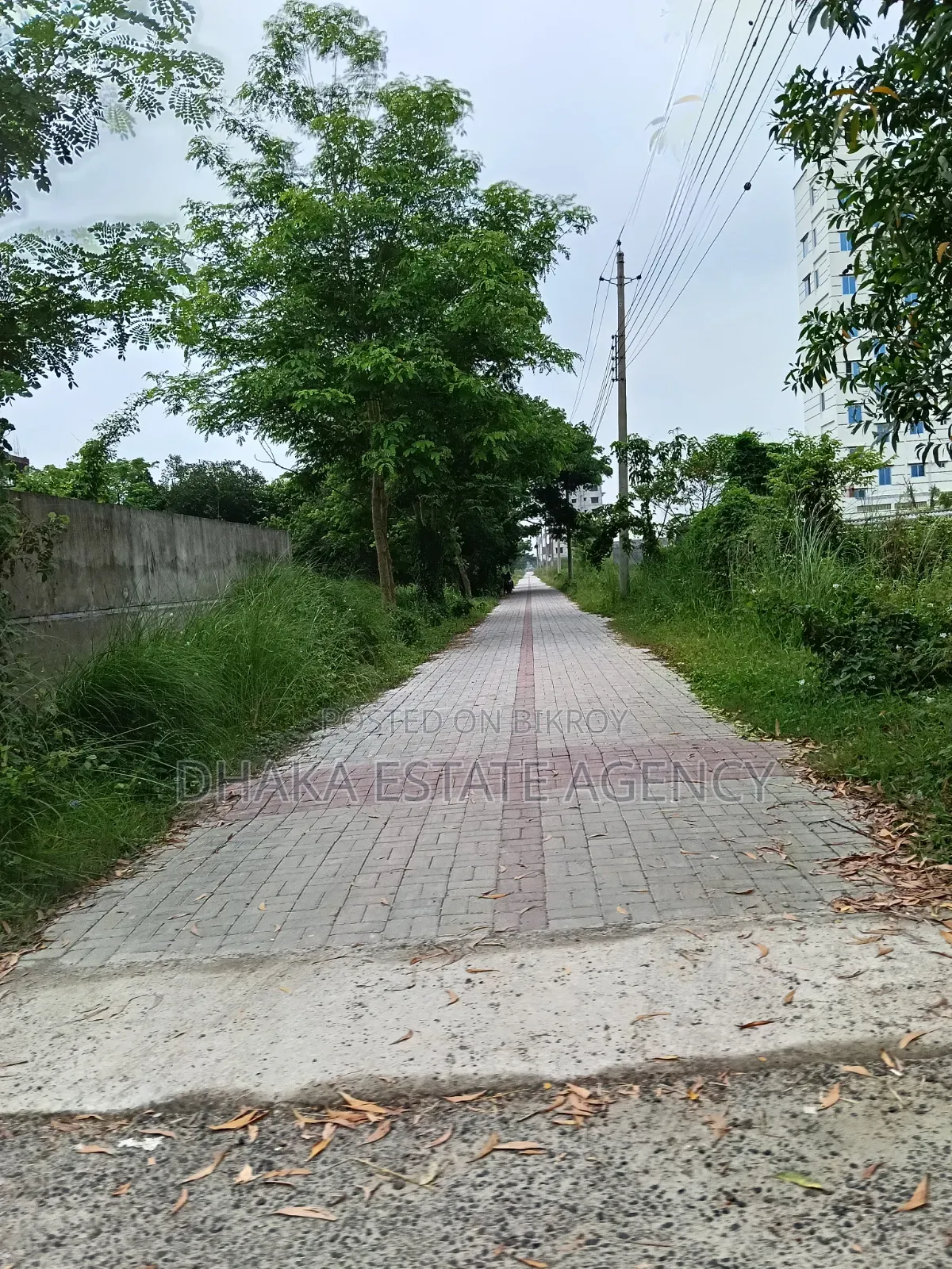 ব্লক-এন, দক্ষিণমুখী ৫ কাঠা সেন্ট্রাল মসজিদ জোন