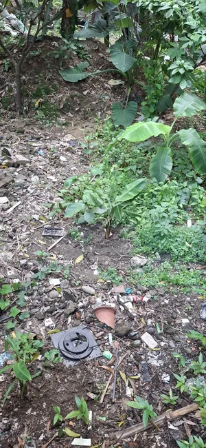 Ownership transfer of 3 Katha plot in "South Town" at a low price.