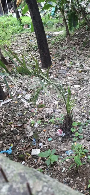 স্বল্প মূল্যে "সাউথ টাউন" ৩ কাঠা প্লট এর মালিকানা হস্তান্তর হইবে ।