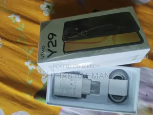 Vivo Y29 128 GB Gray
