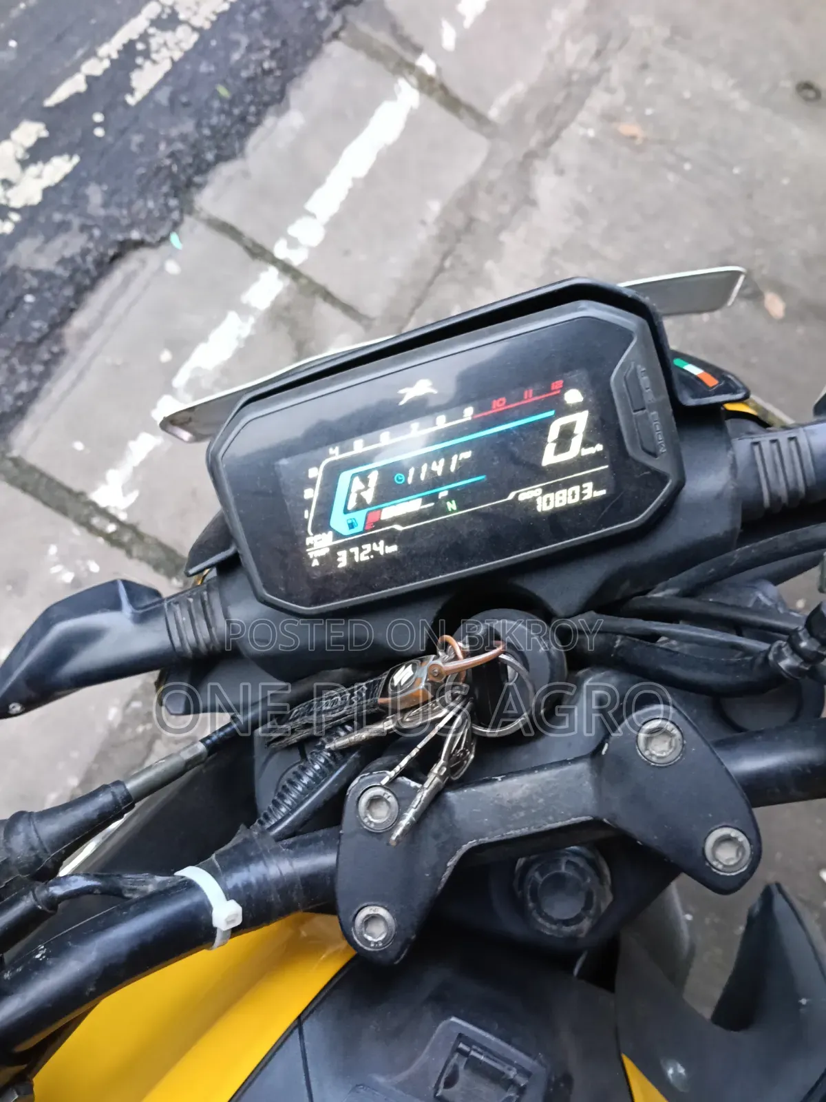 TVS Raider 125 2024 Yellow
