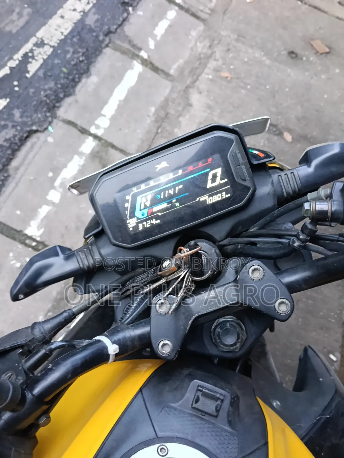 TVS Raider 125 2024 Yellow