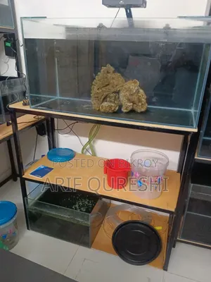 Aquarium Shop Full Ready Setup