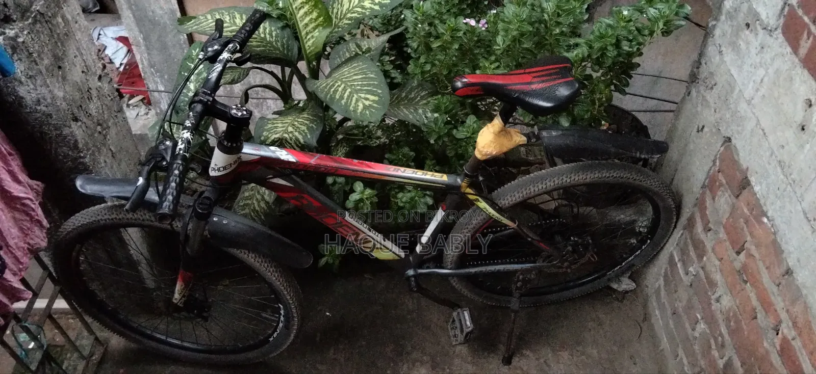 Cycle Gier