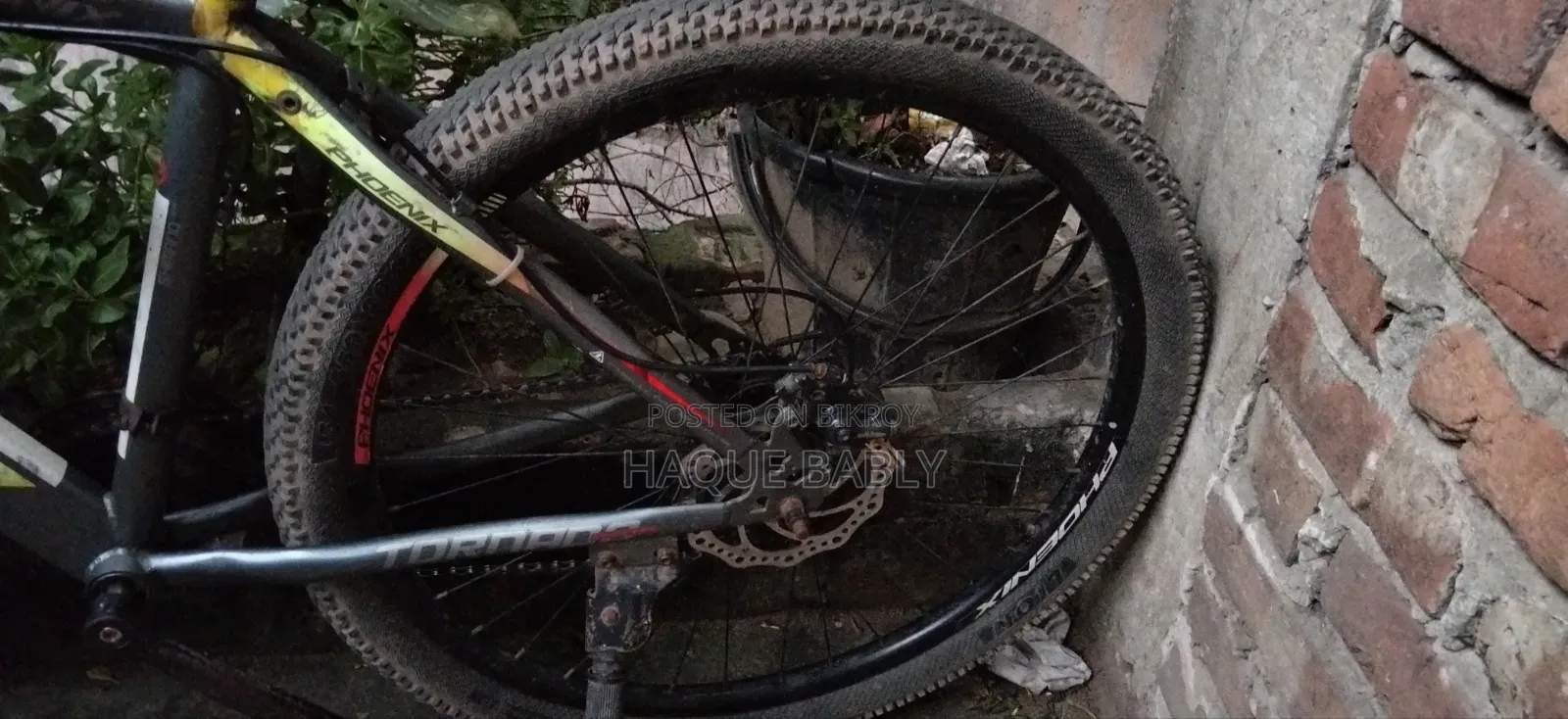Cycle Gier