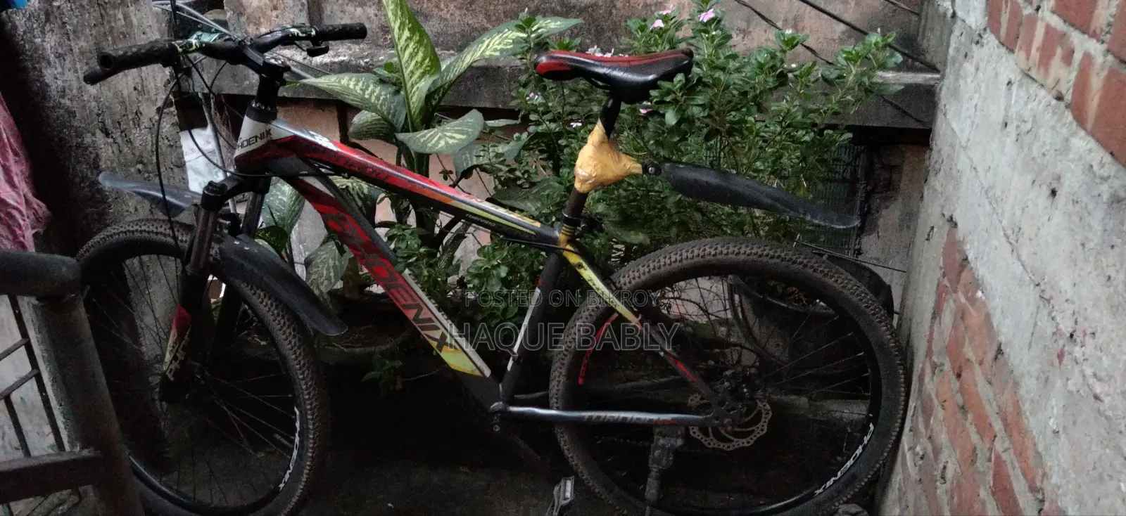 Cycle Gier