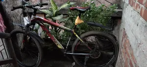 Cycle Gier