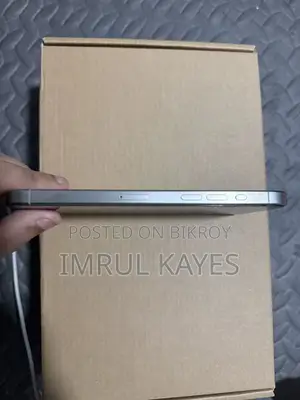 অ্যাপল আইফোন ১৫ প্রো ম্যাক্স ২৫৬ জিবি সিলভার