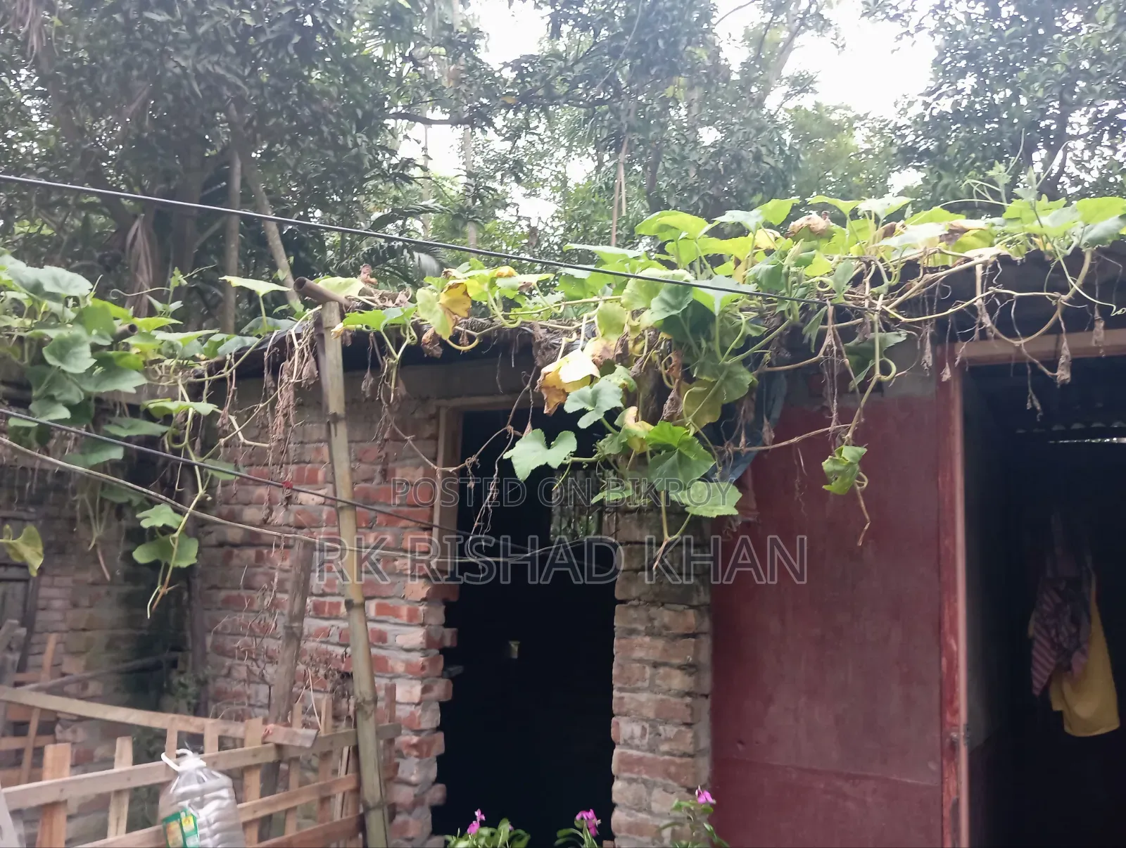 12-bedroom House in 12, Gaibandha Sadar for Sale