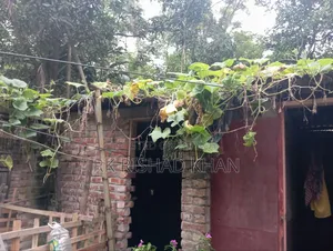 12-bedroom House in 12, Gaibandha Sadar for Sale