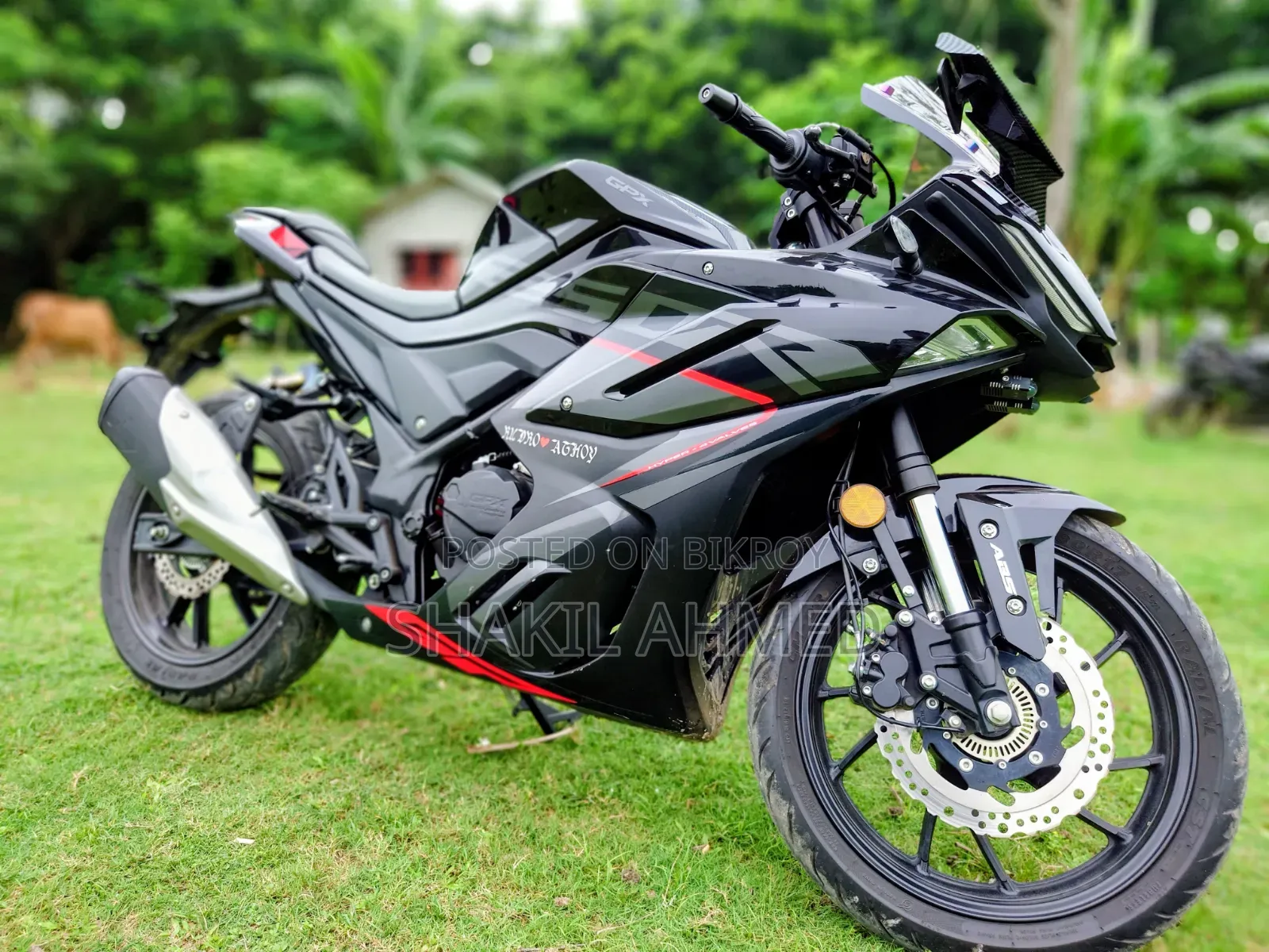 GPX Legend 250 Twin 2026 Black