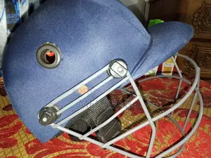 Cricket Set