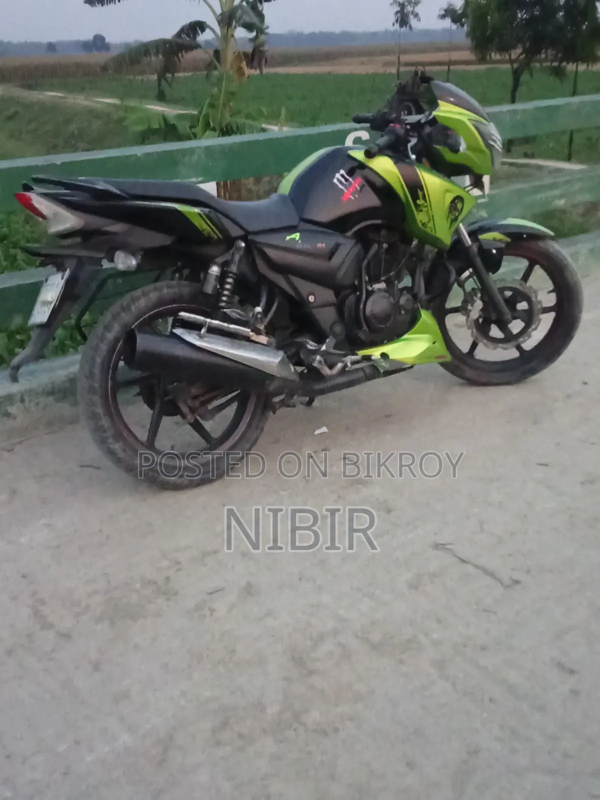 TVS Apache RTR 160 2V 2017 Green