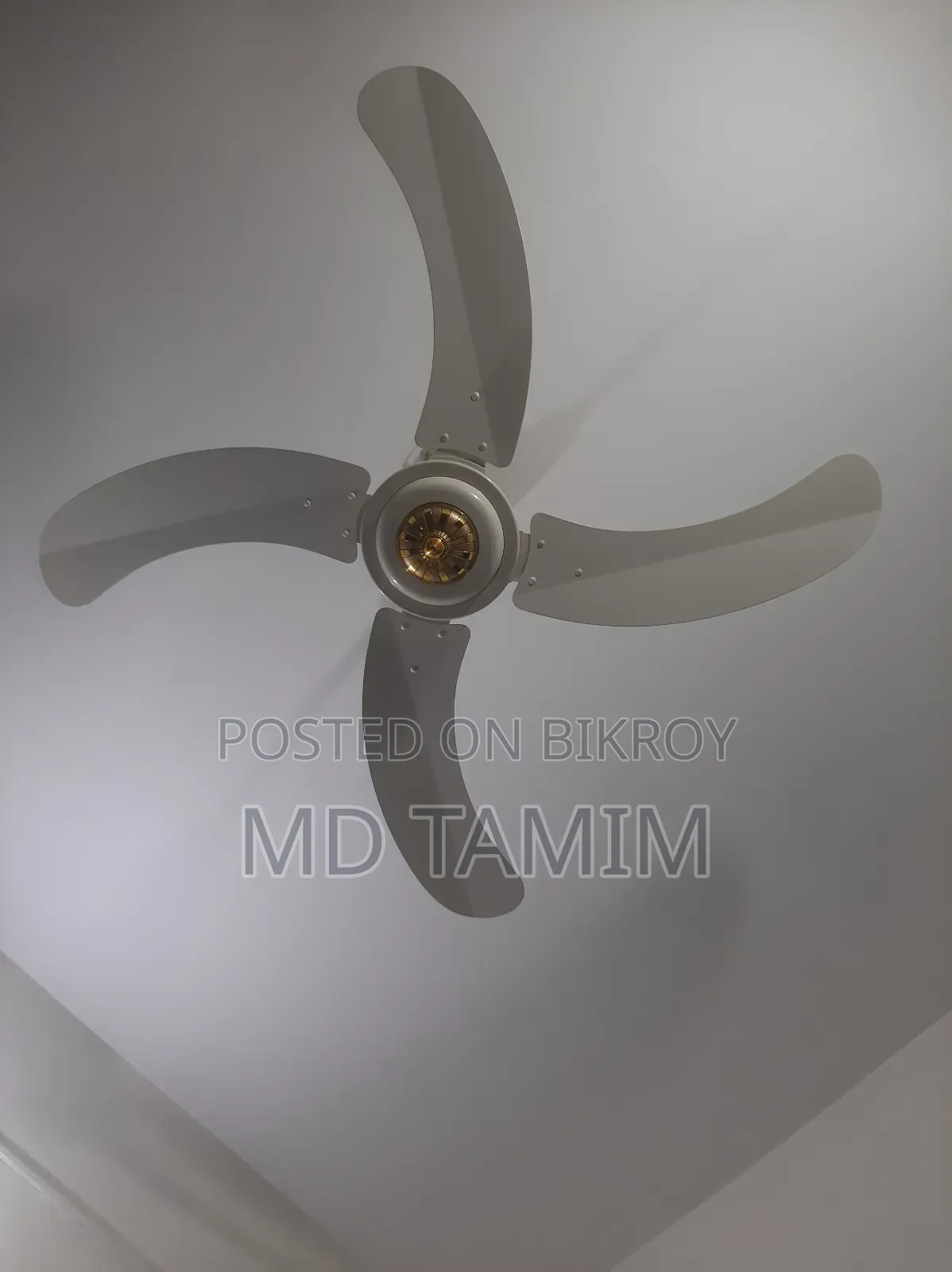 Sk Fan(Pakistan)