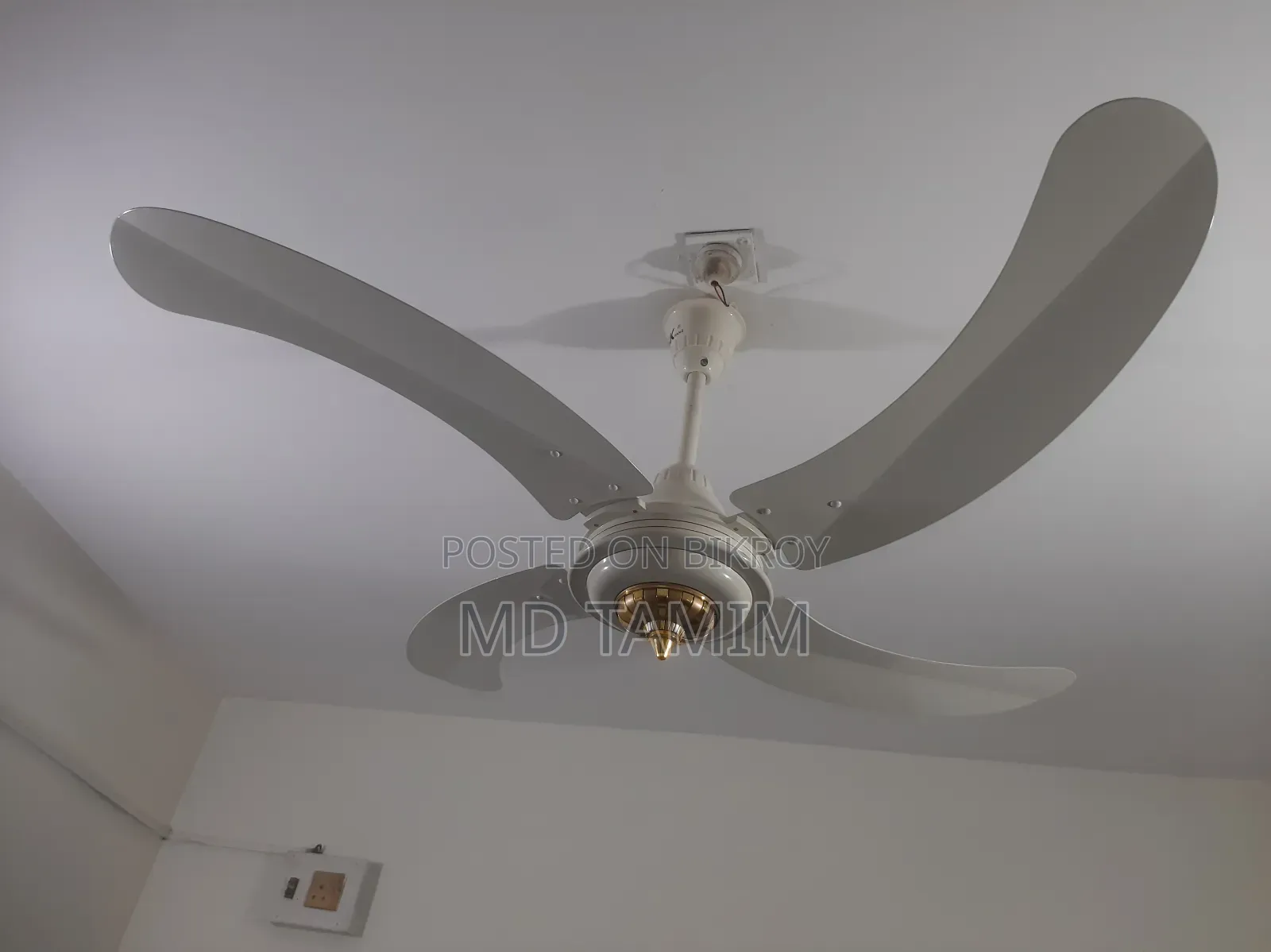 Sk Fan(Pakistan)